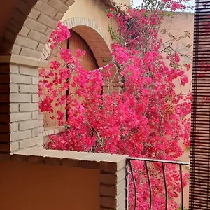 P.piano - Centro Paese , Villasimius Italia